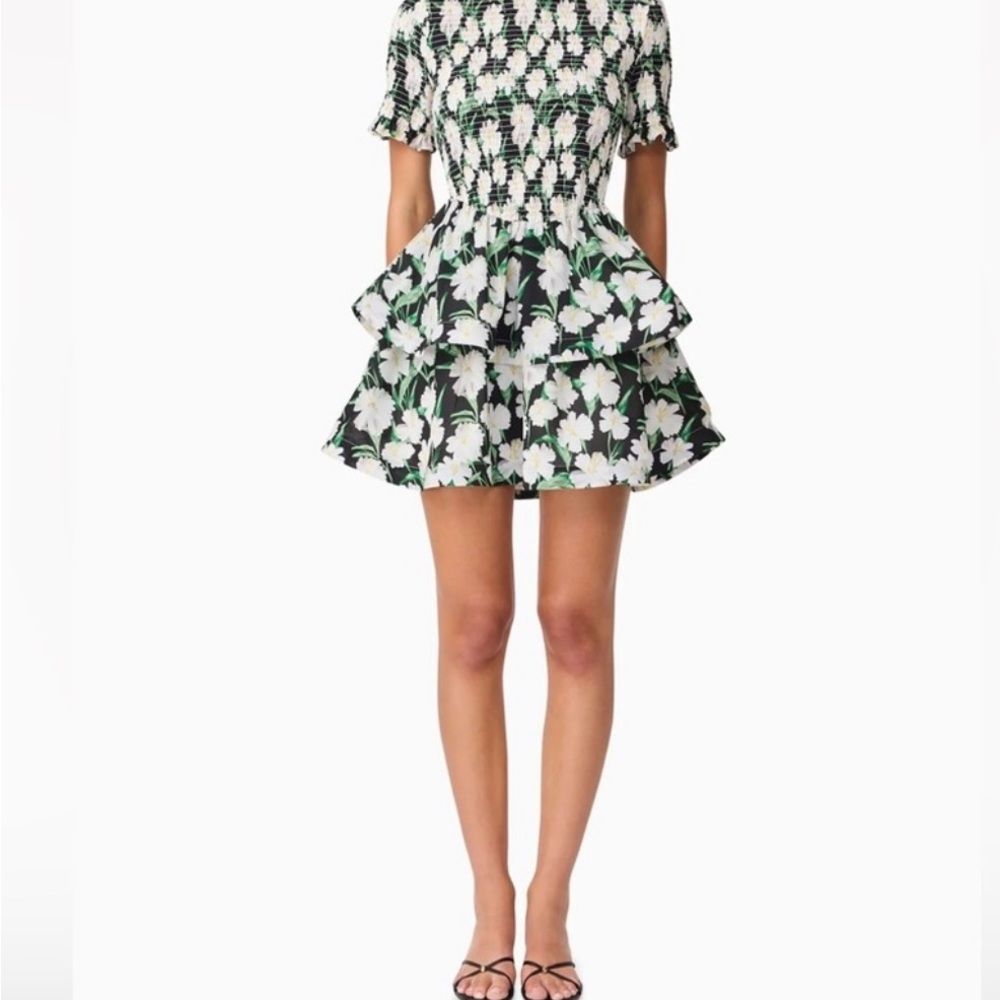 Elliatt dress
